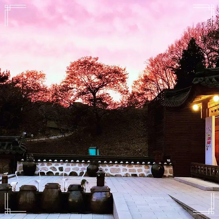 생방송오늘저녁 율무 식혜 조리퐁 율무퐁 라떼 팥죽 찰떡 1,800개 장독이 있는 한옥 카페 경기 연천 맛집 추천