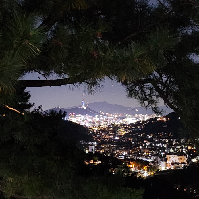 어둑해진 금선사의 밤