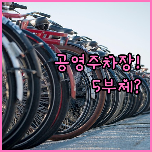 공영주차장과 공공기관 차량 5부제, ..