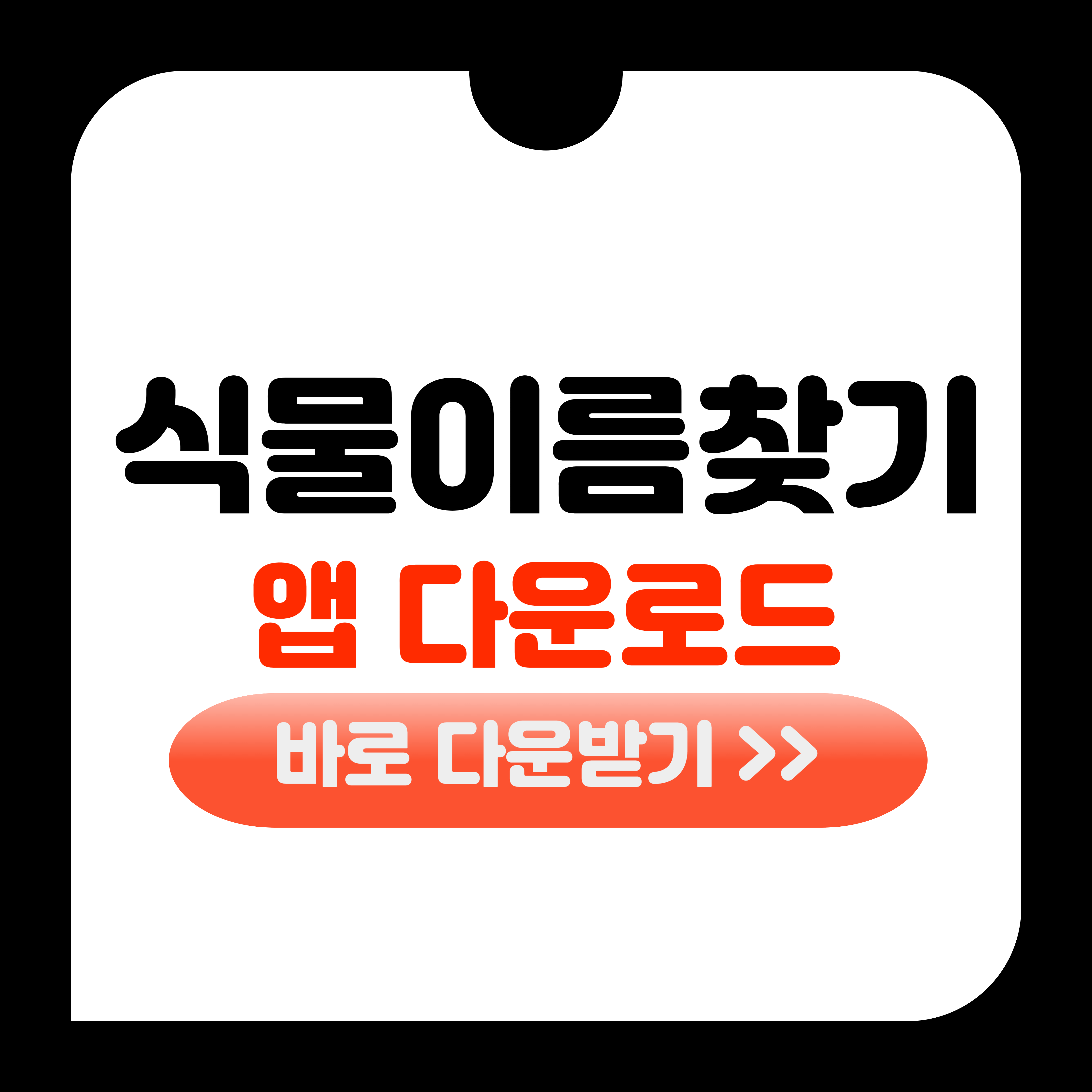 식물이름 찾기 어플