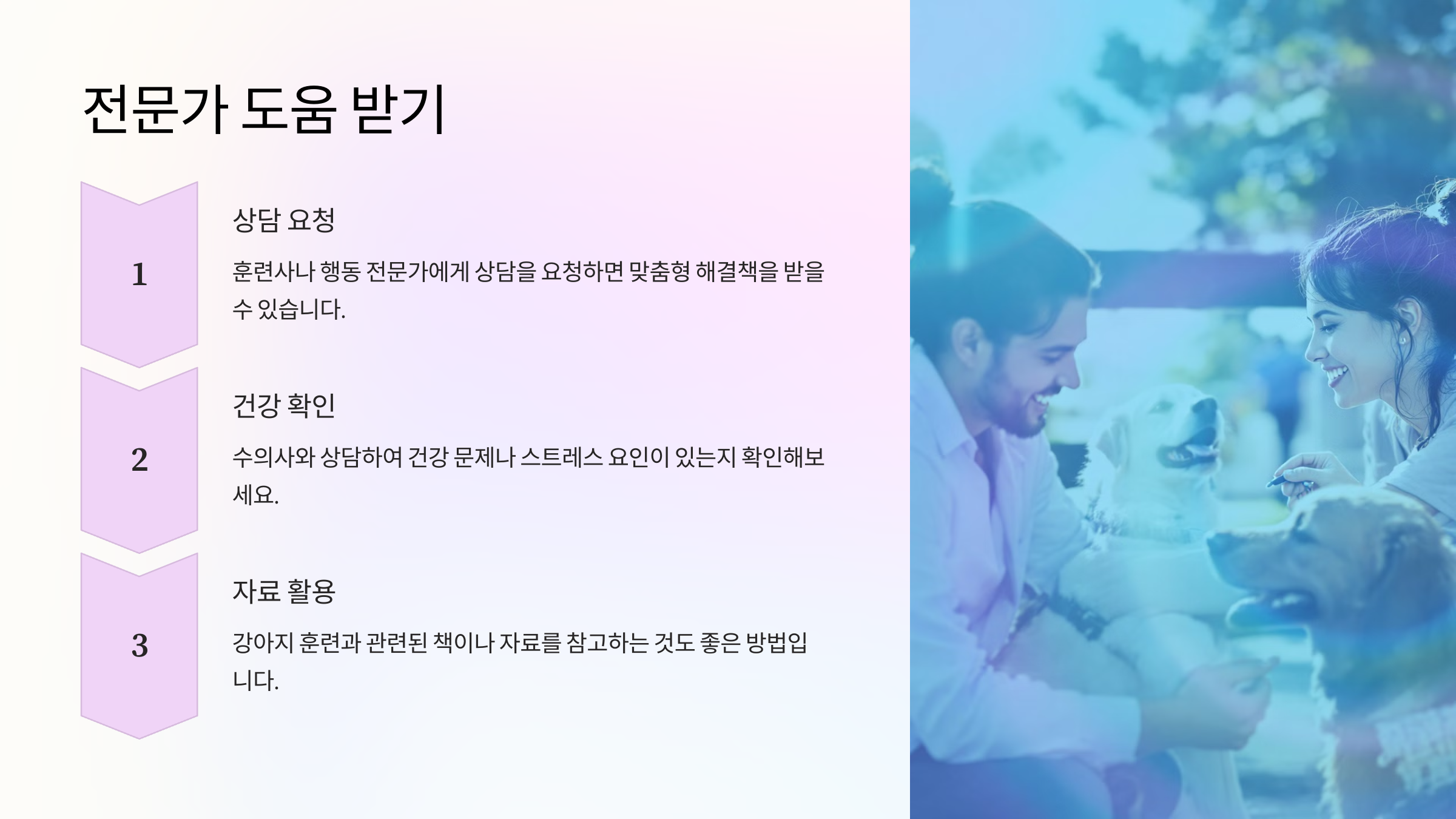 전문가 도움 받기