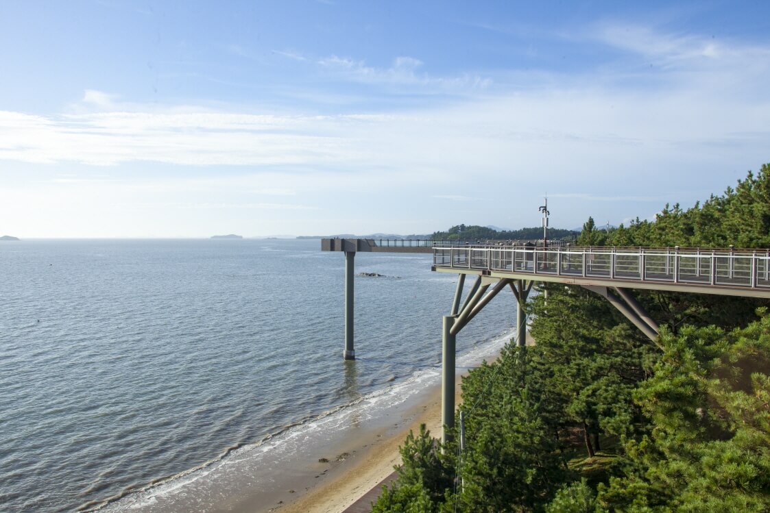 서천 장항 송림산림욕장 스카이워크
