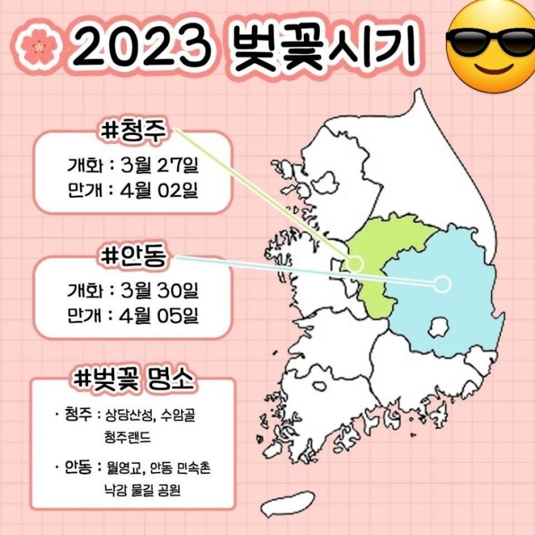 2023년 벚꽃 개화시기