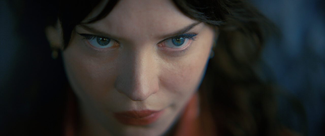 컴패니언 영화 뜻 줄거리 출연진 결말 쿠키영상 (스포주의)