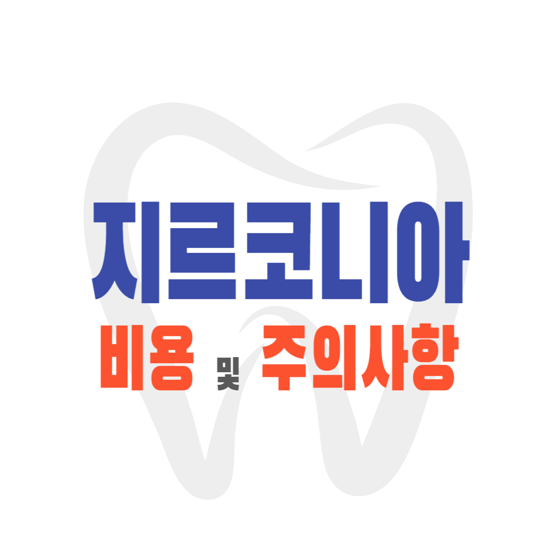 지르코니아 비용 가격 장단점 수명 특성 특징 주의사항 정리