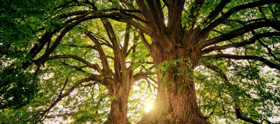 가평 가볼만한곳