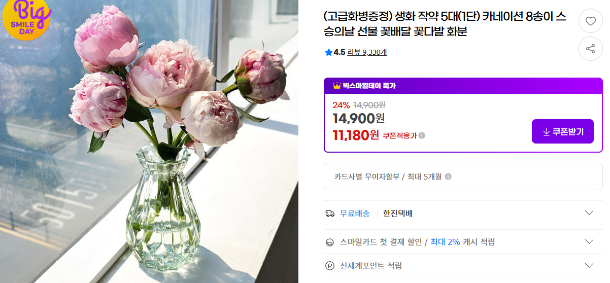 작약 5가지 효능 및 재배법 (+ 모종 판매 꽃말 축제)