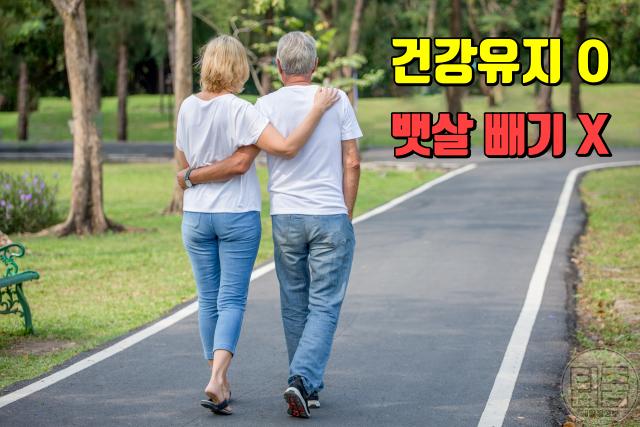 뱃살 빼는법 똥배 단기간 다이어트 걷기