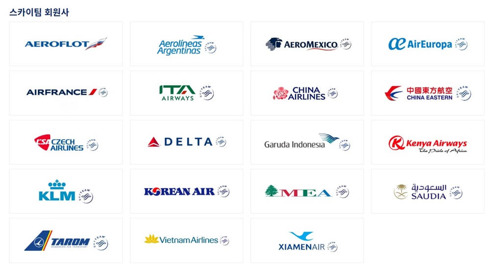 스카이팀-회원사-19개-항공사-로고