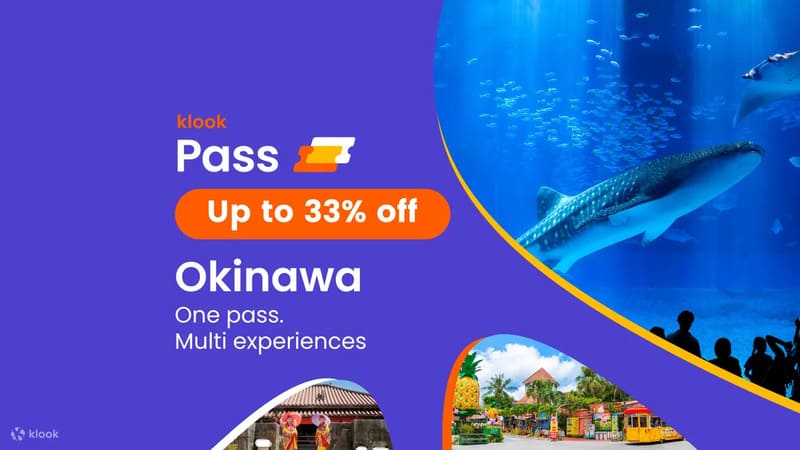 클룩 오키나와 패스 겨울 고래 관찰 한정 패키지