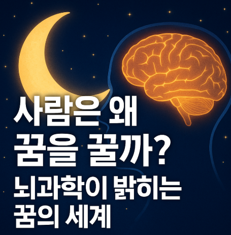 사람은 왜 꿈을 꿀까