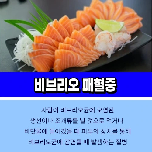 비브리오 패혈증