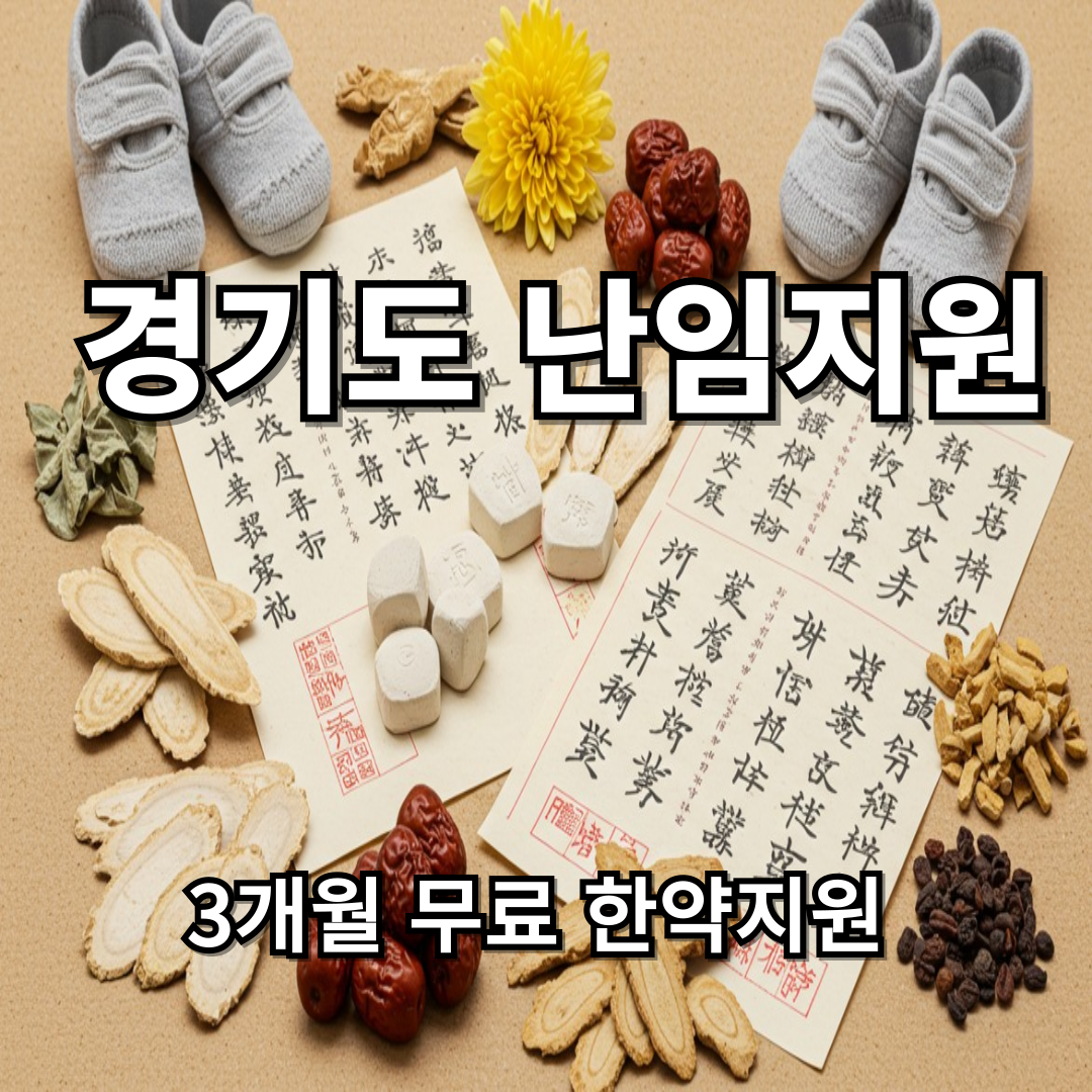 경기도 난임부부 한의원 지원사업 신청 방법과 혜택