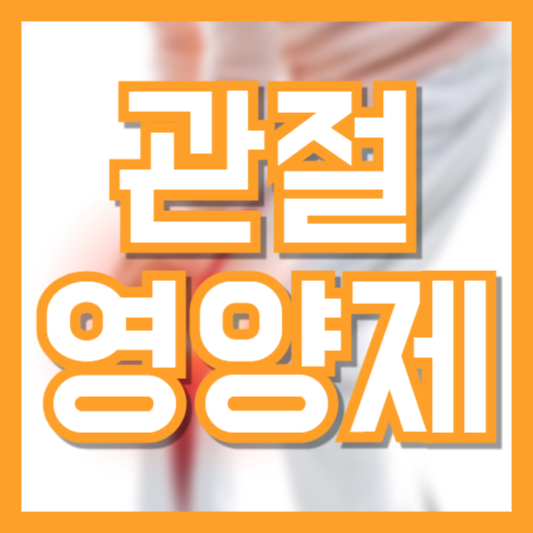 관절 영양제 추천 가이드: 성분별 효능과 선택 기준! 이건 필수 체크!