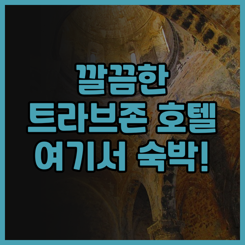 래디슨 블루 호텔 트라브존 후기 청결..