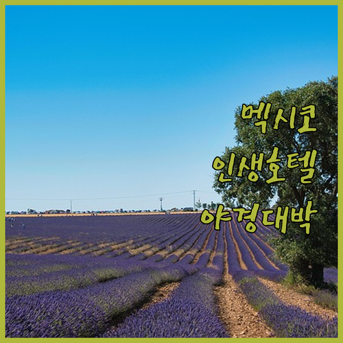 멕시코 과달라하라 기념일 숙소 추천 ..