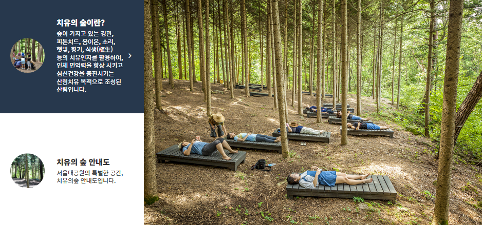 서울대공원 어린이날 행사 '모여라! 대공원'