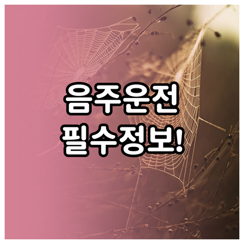 2026년 음주운전 벌금 납부 방법과..
