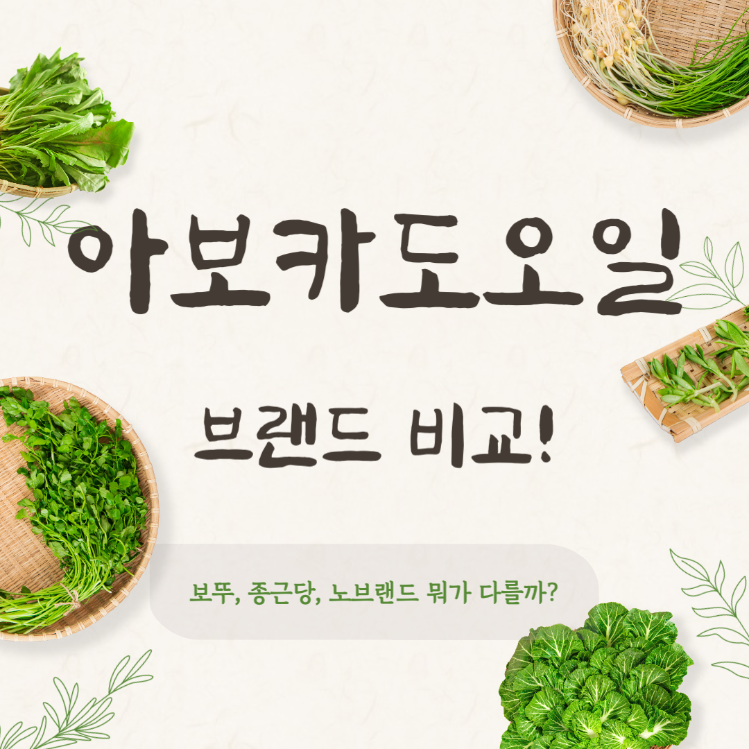 아보카도오일 비교｜보뚜, 종근당, 노브랜드 뭐가 다를까?
