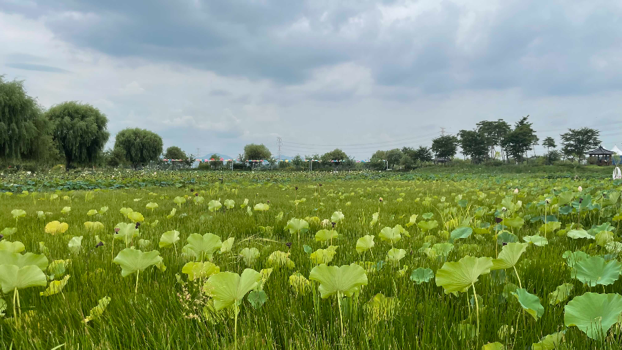 합덕제 수변공원