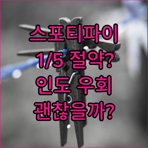 스포티파이 요금 1/5 절약? 인도 ..