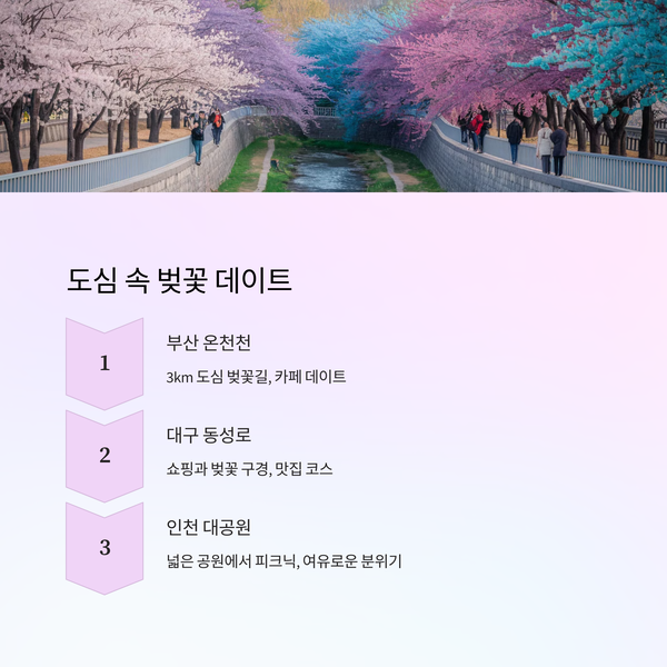 도심속벚꽃-부산온천천 ,대구동성로,인천대공원