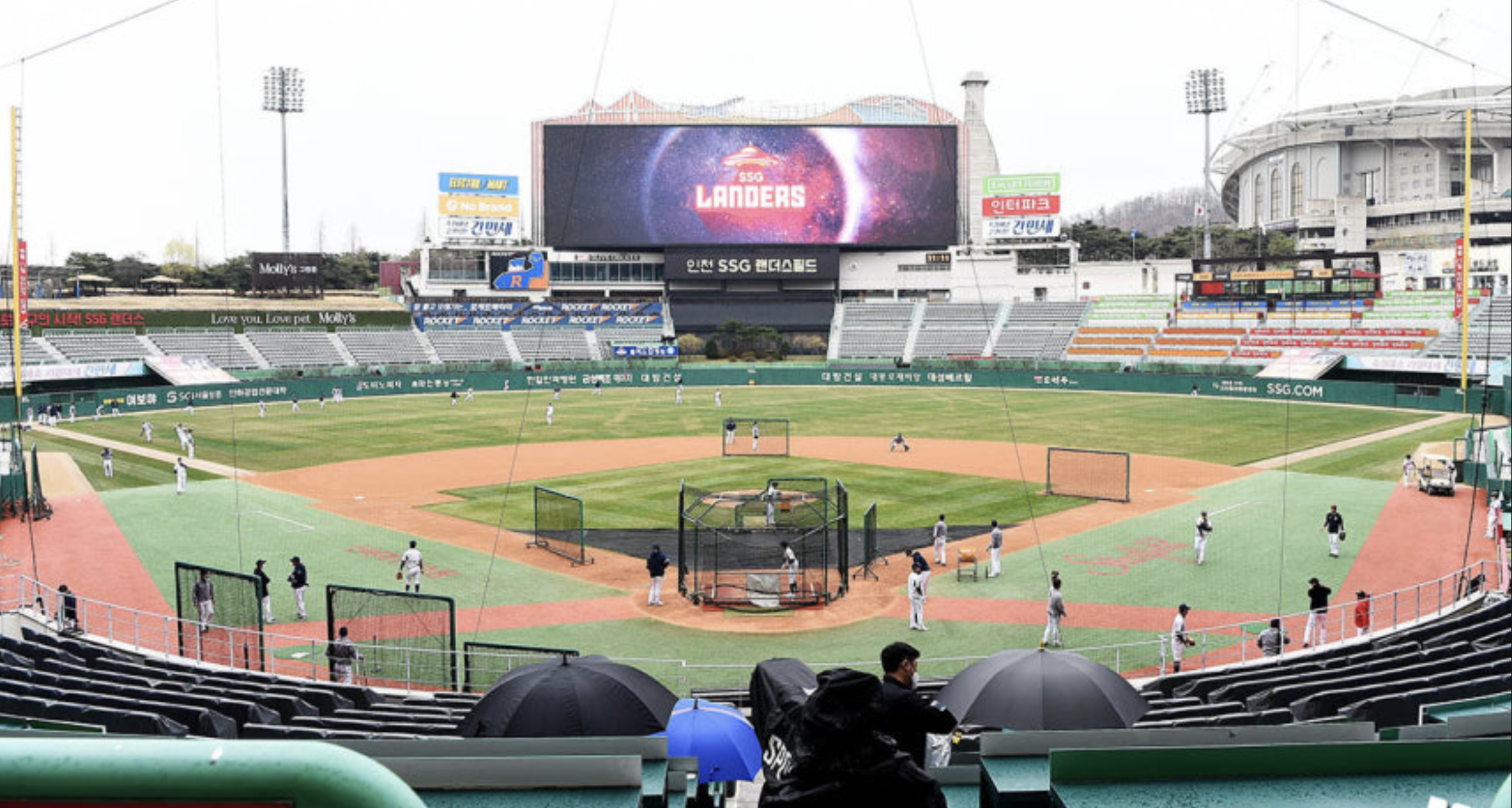 ssg랜더스 맛집 총정리