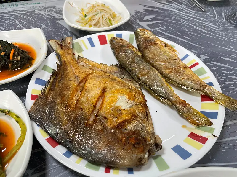 먹자 포구 입에서 살살 녹는 맛, 삼치 삼치회 삼치조림 맛있는 횟집 전남 고흥 맛집 추천