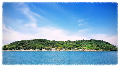 그리고 '애도'