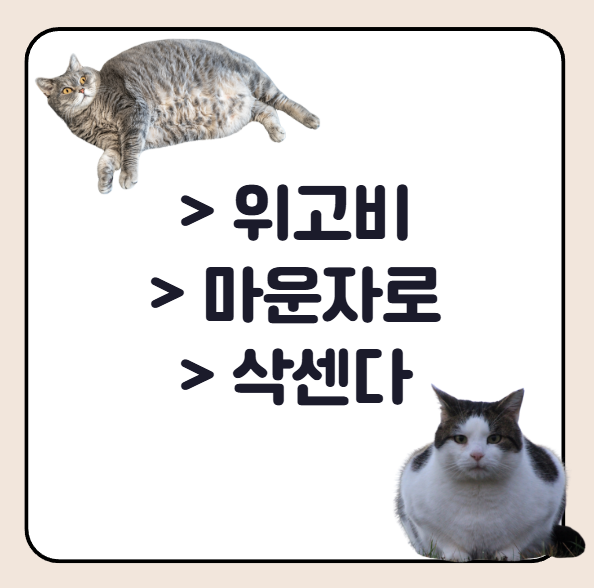 체중감량 주사제 종류