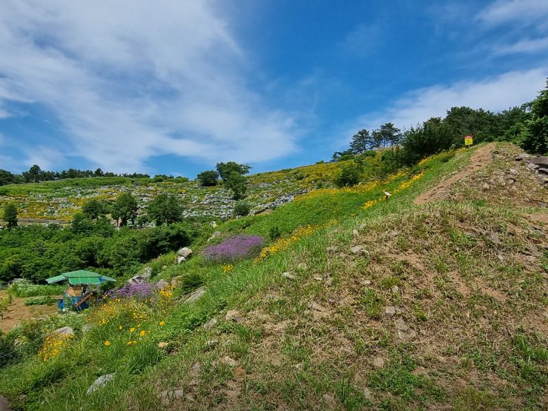 지세포 진성꽃동산