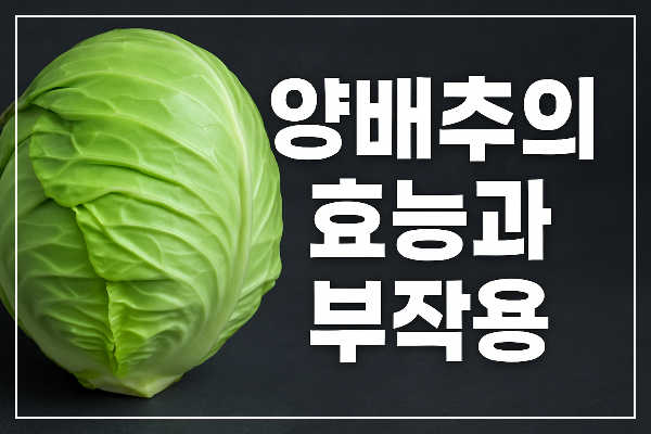 양배추의 효능과 부작용
