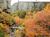 단풍여행 1박2일 버스 단풍구경