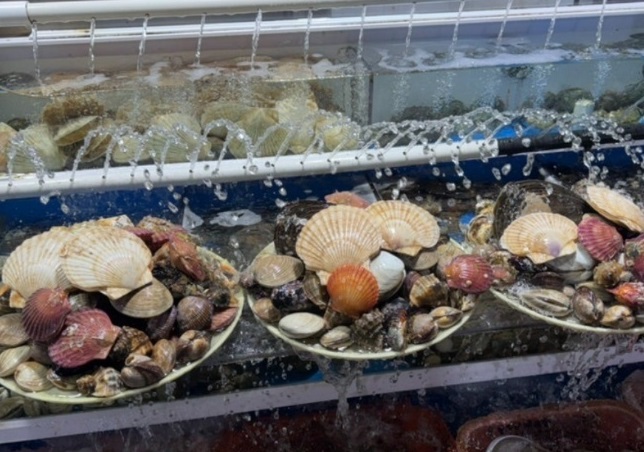 화성-궁평항수산물-해산물-스끼다시-명성호