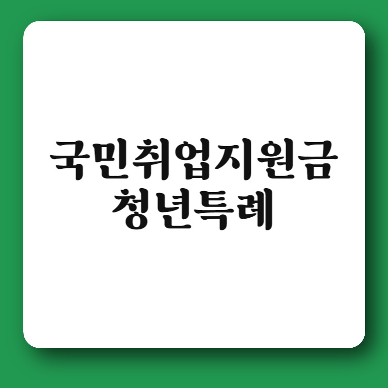 국민취업지원금 청년특례