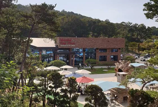 몬떼델피노