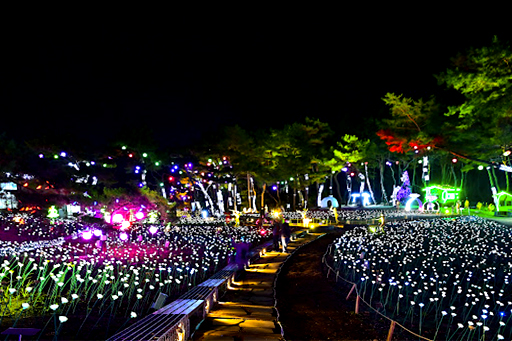 수양개 빛 터널2