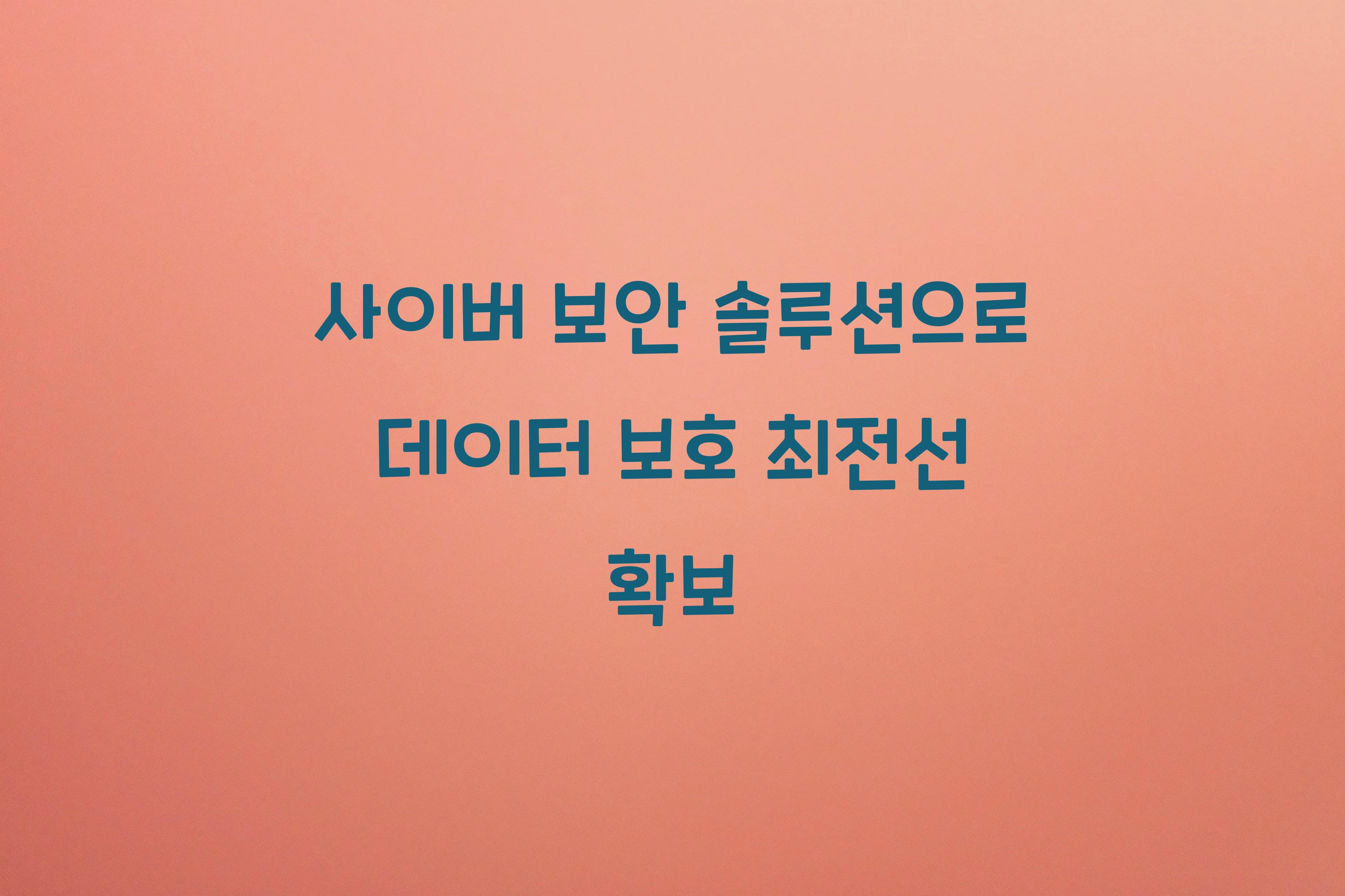 사이버 보안 솔루션