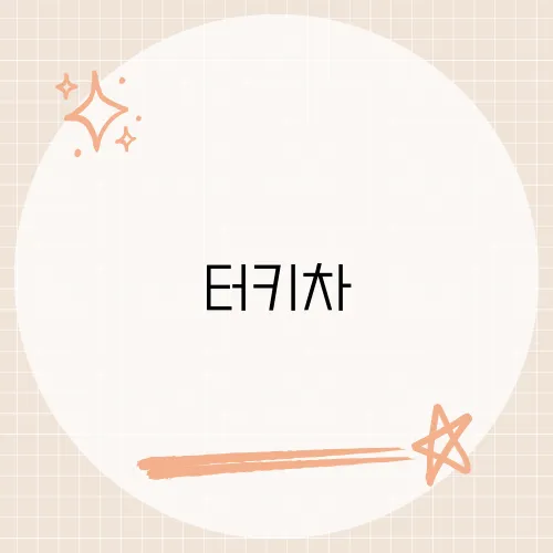 터키차, 터키의 전통 차 문화와 추천 티하우스