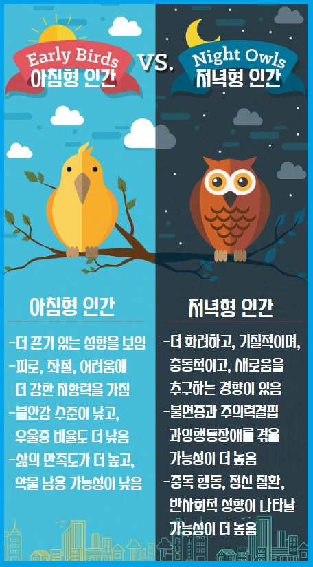 아침형 인간 저녁형 인간의 차이