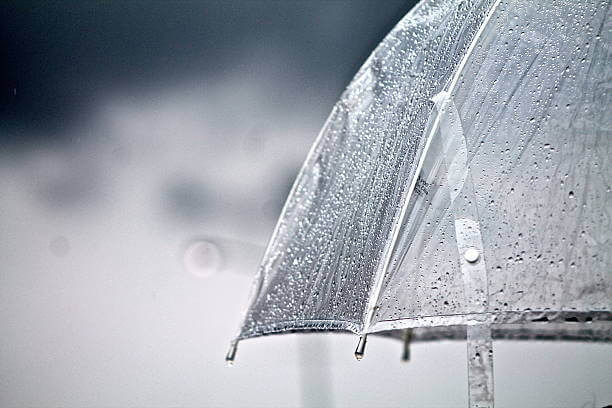 장마 기간 중 주의사항 및 대비법