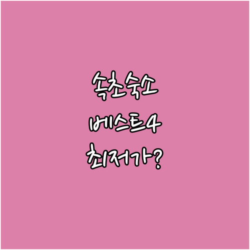 속초 여행 숙소 베스트 4곳 실제 위..