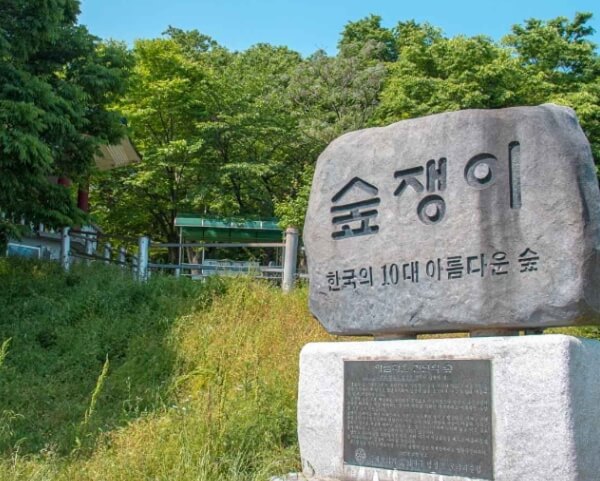 영광 가볼만한곳 베스트 10