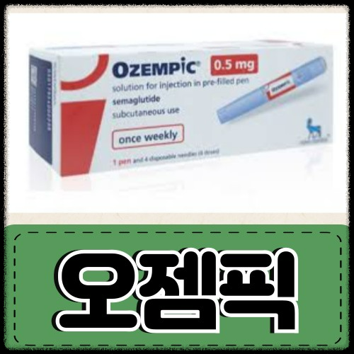 비만 치료 효과-오젬픽과 위고비의 놀라운 증명