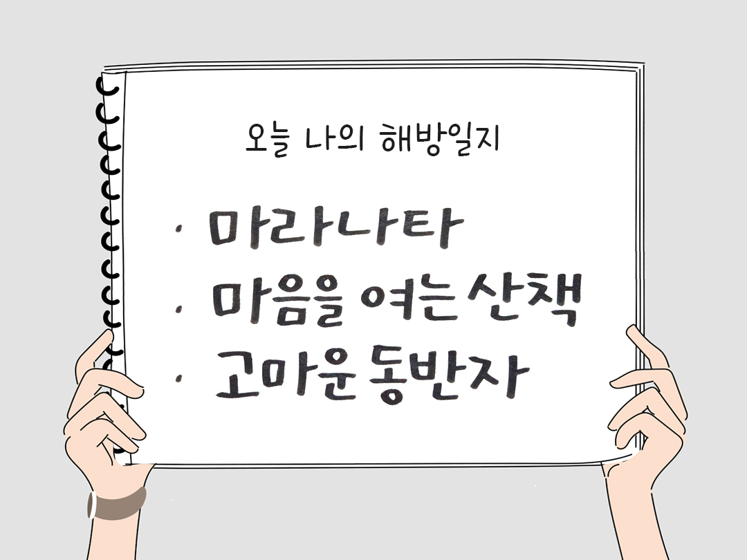 오늘 나의 해방일지 : 감사를 통해 발견한 행복 오늘 감사한 순간들