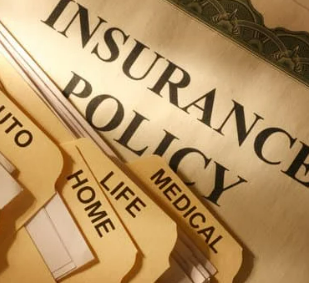 KB 펫보험 강아지 보험 동물등록증 할인 후기