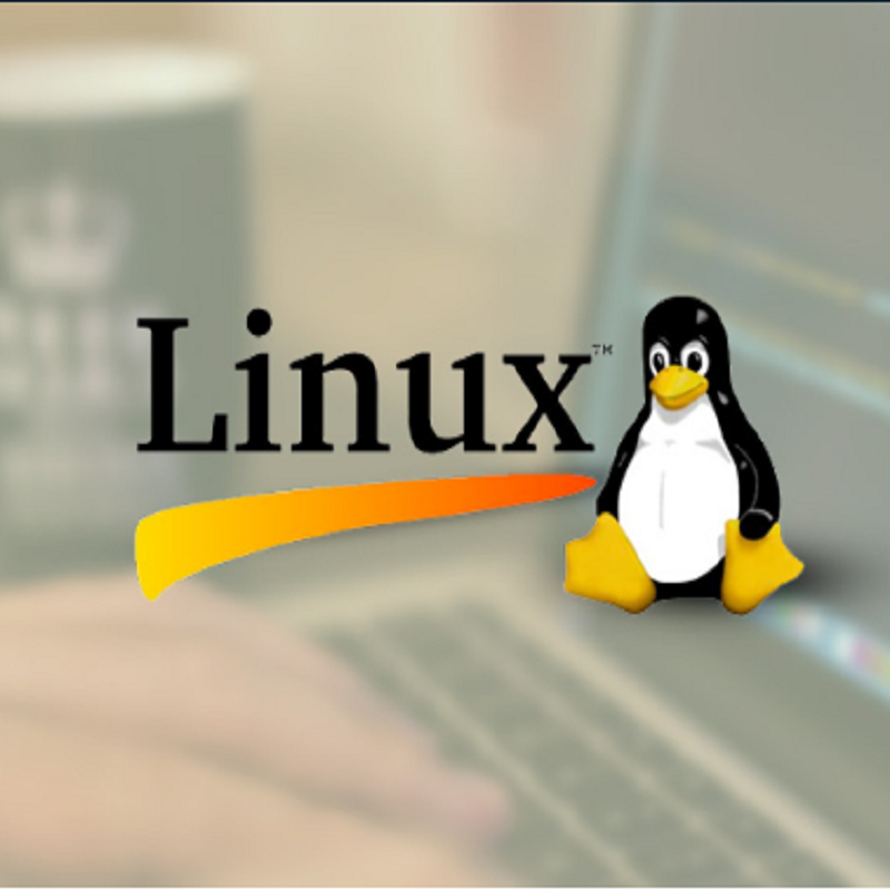 2023.자격증취득.초보.취업.리눅스마스터.취득목적.취득이유