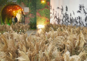 코스모스축제 고양가을꽃축제 예매&amp;#44; 주차장