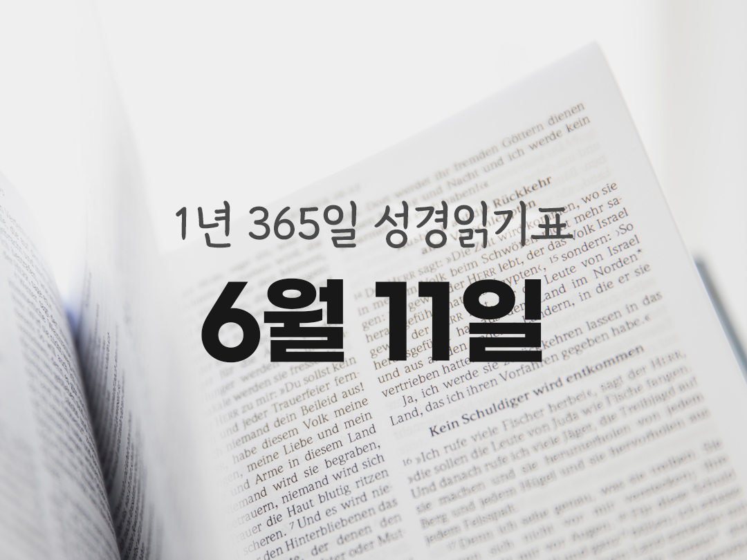 1년 365일 성경읽기표 6월 11일 시편 성경읽기 진도표
