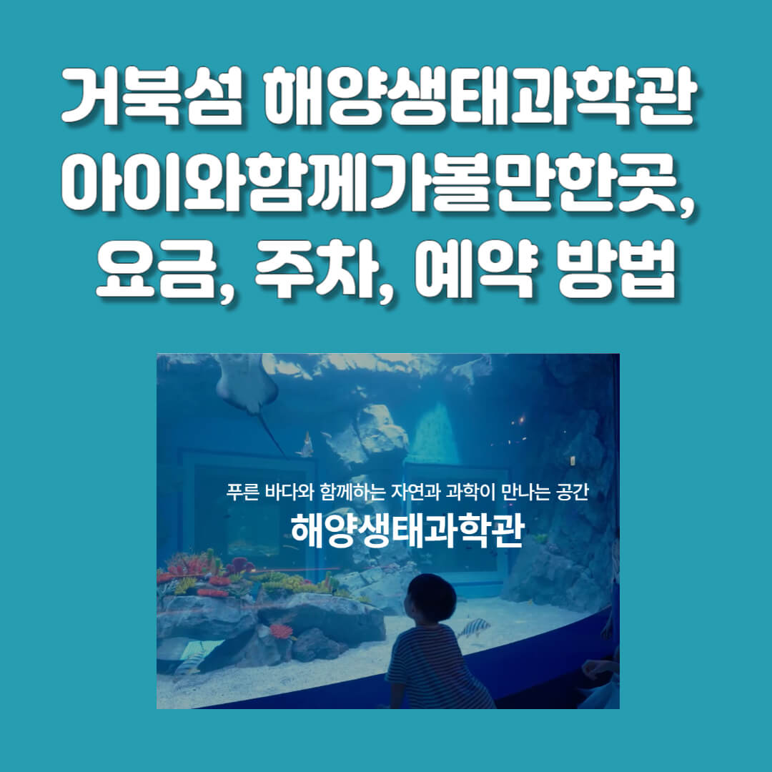 시흥 거북섬 해양생태과학관 예약하기